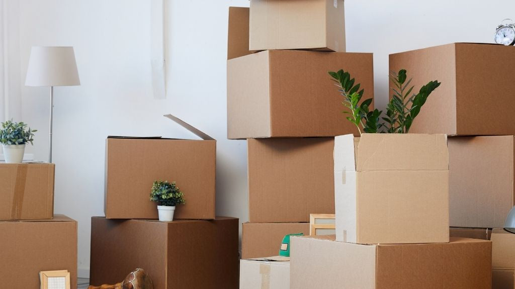 Decluttering 101: Where to Begin (And How to Stick With It)