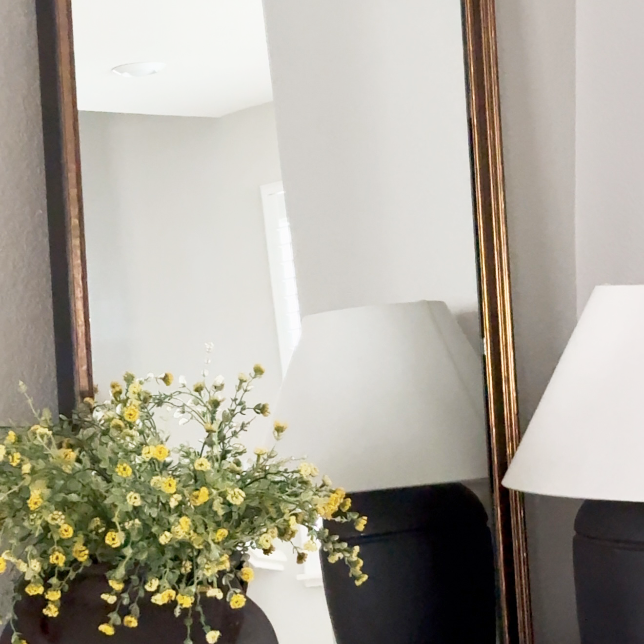 Crenshaw Bronze Framed Mirror