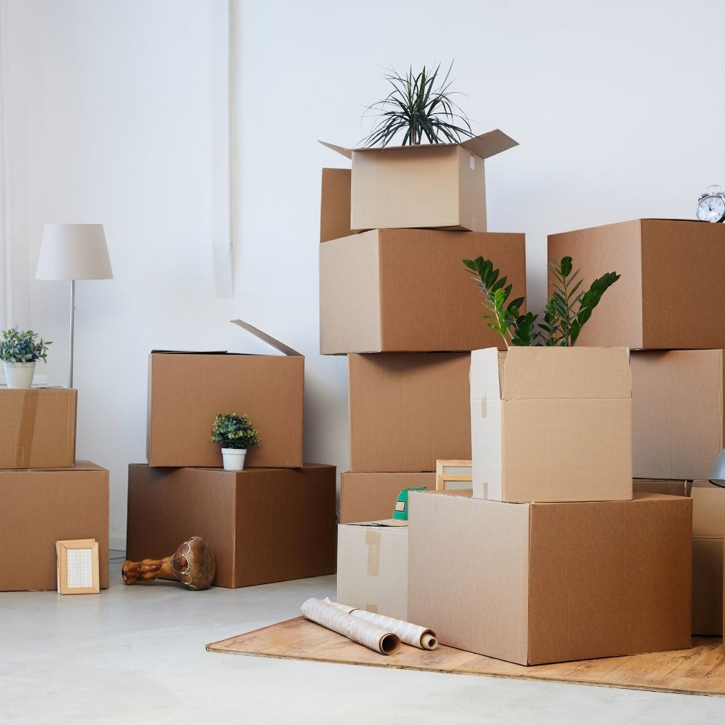 Decluttering 101: Where to Begin (And How to Stick With It)