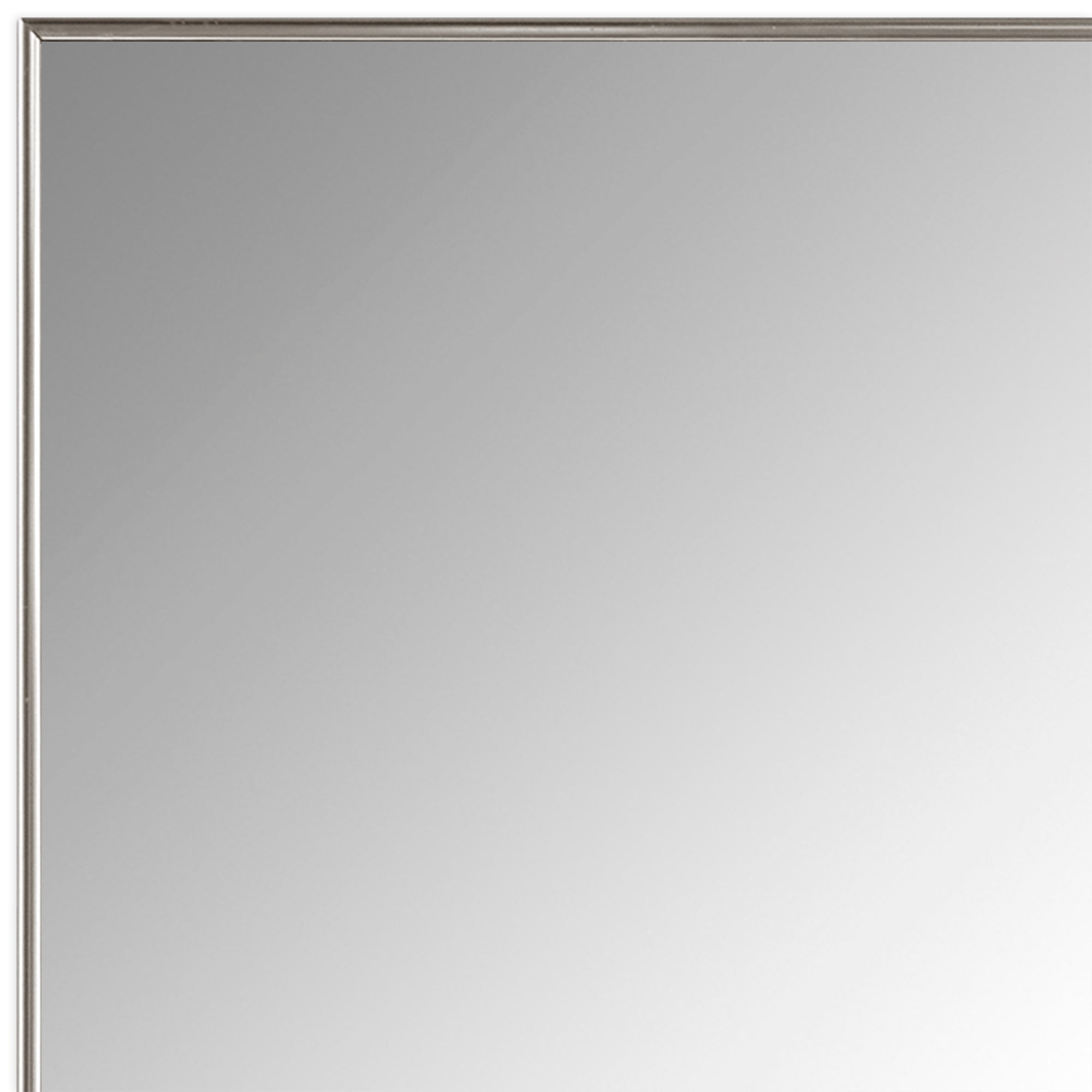 Standard Mirror Type