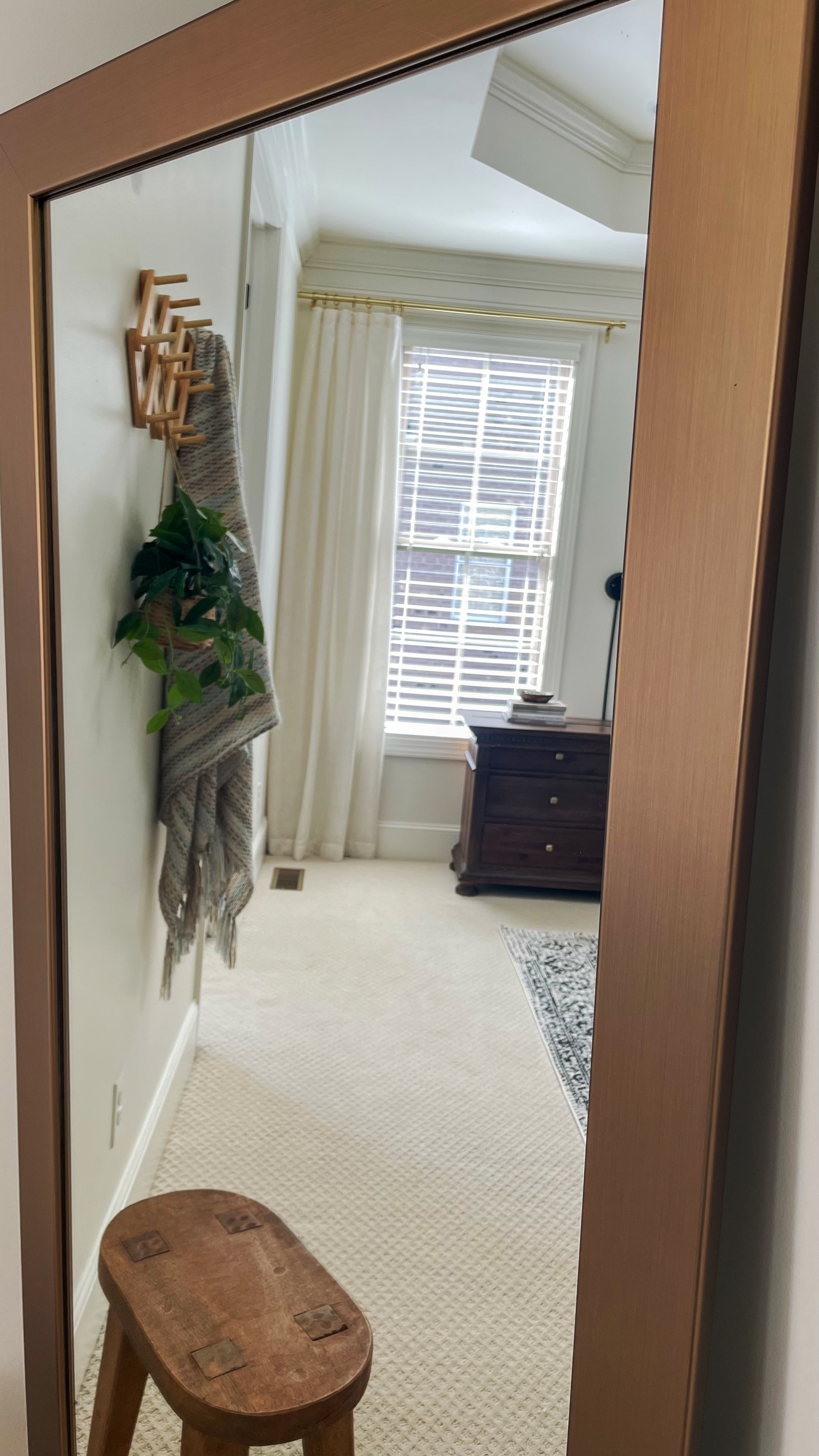 Pendleton Champagne Bronze Framed Mirror