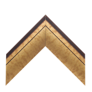 Frame My Mirror logo
